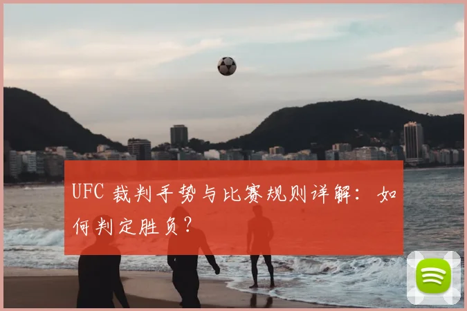 UFC 裁判手势与比赛规则详解：如何判定胜负？
